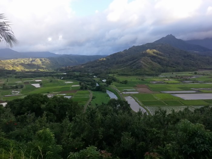 SamuelCheeCom-Kauai-Visit-01